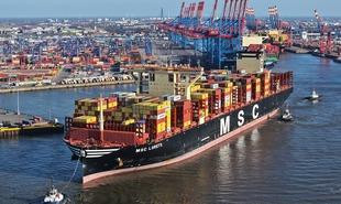 MSC Loretto HHLA1 310