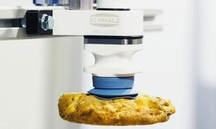 schmalz pharmafood3 310