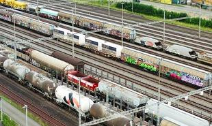 SEV SBB Cargo Kahlschlag2 310